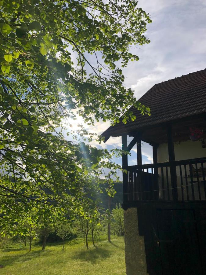 Etno Kuca Milidrag Villa Фоча Екстериор снимка